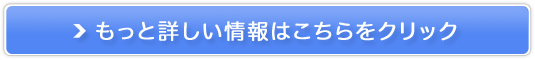 lXȎiwK980~ŃEPz[_CIyIXN.JPz̔TCg